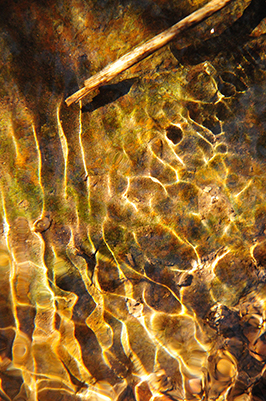 Golden water ripples from the brush of a wand